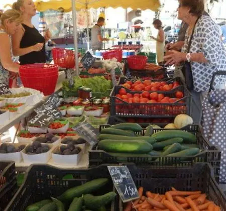 Dans Un écrin De Verdure