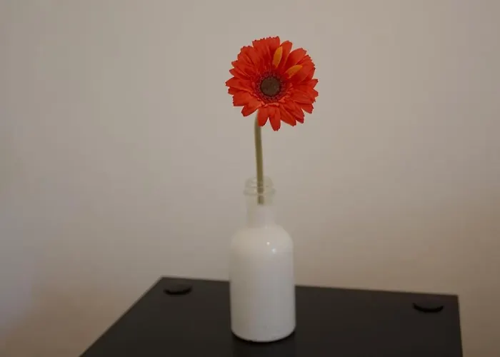 公寓 Calme, Clim, Patio Xxl, Piscine&parking 耶尔