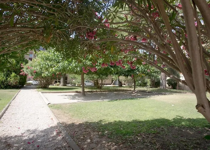 Calme, Clim, Patio Xxl, Piscine&parking Lejlighed Hyères